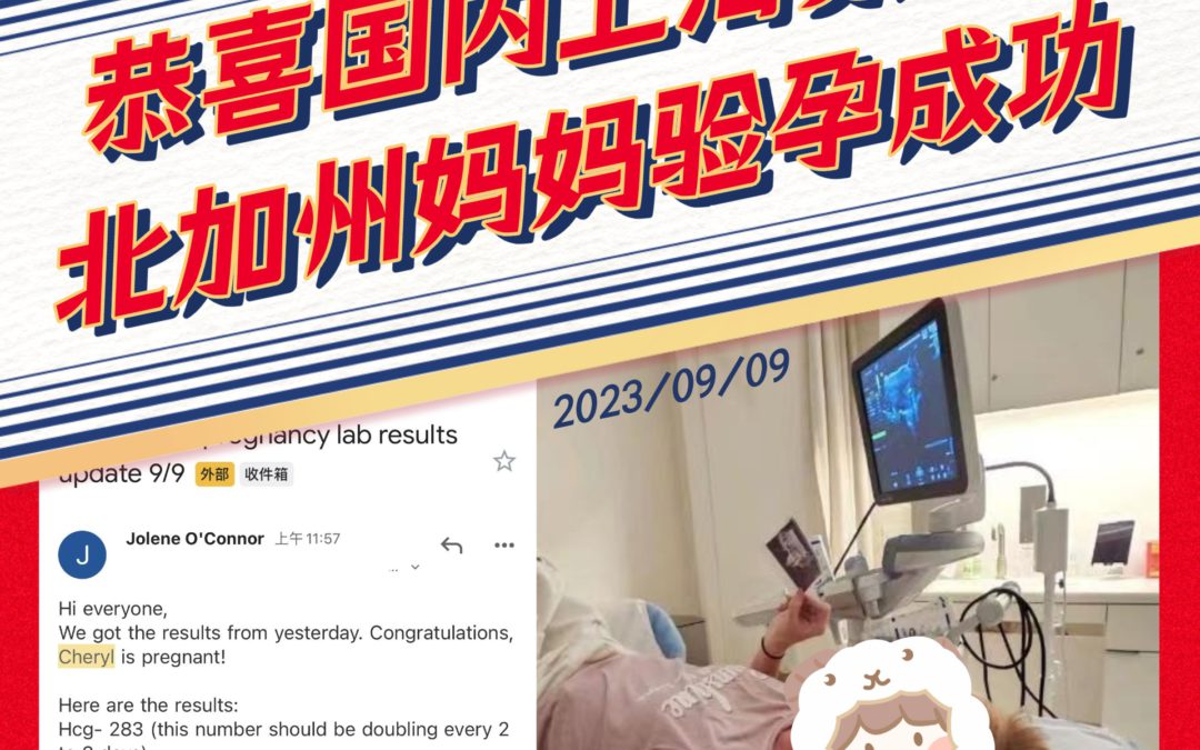 美国宝宝树工作日常【230909验孕成功】